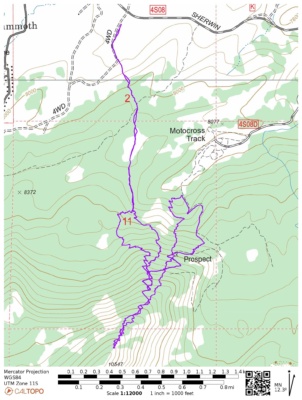 Old Growth ski tour old growth map