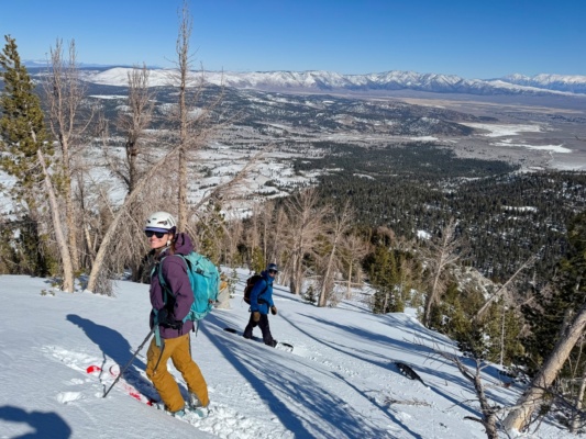Erica and Nathan posing for a photo before we begin the descent old growth