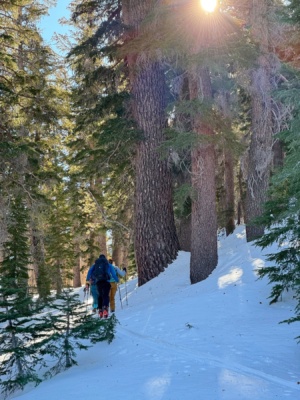 Skinning through the woods :) tj bowl