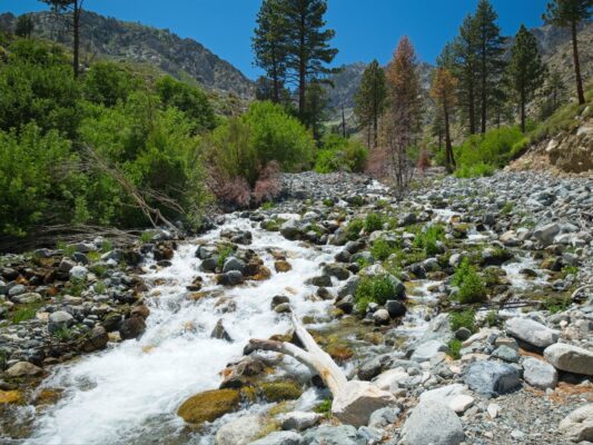 The North Fork of Oak Creek baxter pass trail