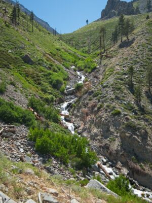 Oak Creek roars down the canyon baxter pass trail