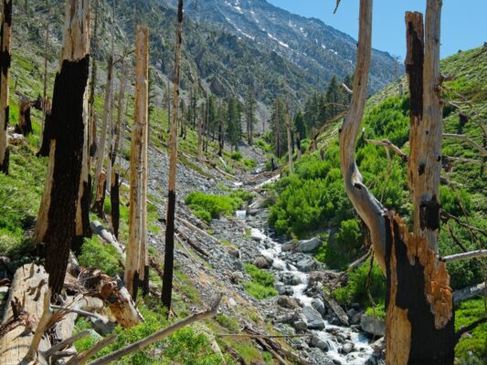 Burn scars from the 2007 Oak Fire are still readily visible baxter pass trail