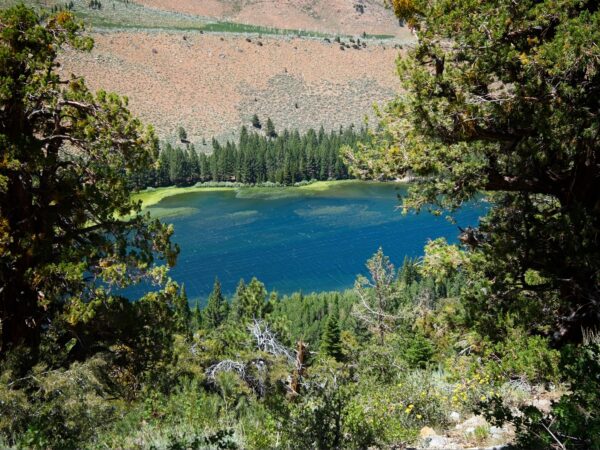 Fierce winds whip up the water on Walker Lake walker lake