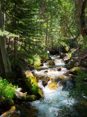 A noisy little section of Walker Creek walker creek