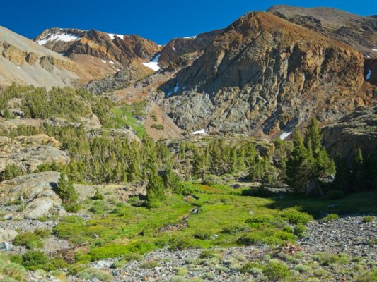 After several hours of climbing we reach the alpine! bloody canyon trail