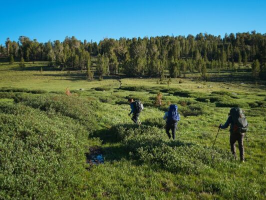 We leave the Mono Pass Trail and start hiking over to Parker Pass mono pass