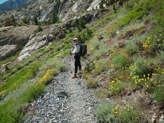 Shannon hikes down the trail, past wildflowers, toward the old tramway rush creek trail
