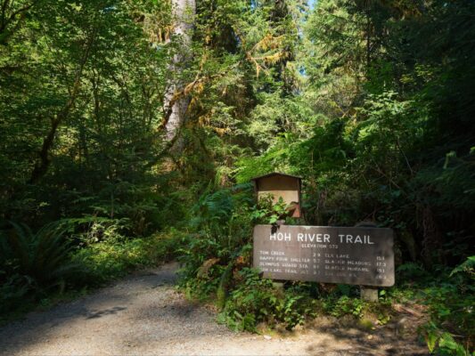 We'll be covering most of those miles this weekend hoh river trail