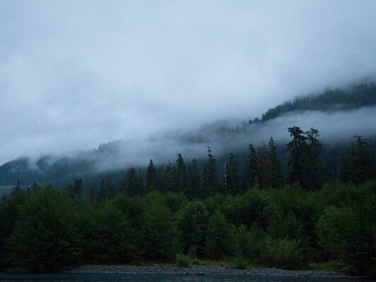Low-hanging clouds obscure the view this morning hoh river trail