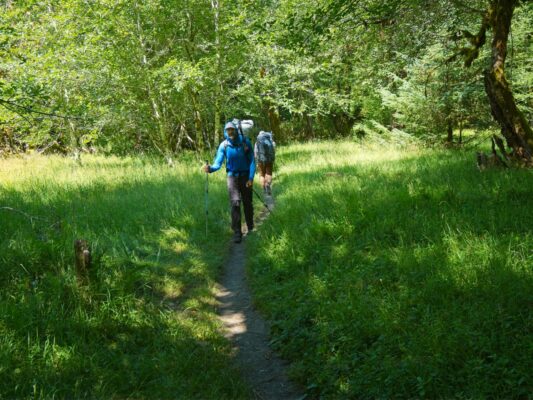 More open meadows in the rainforest hoh river trail