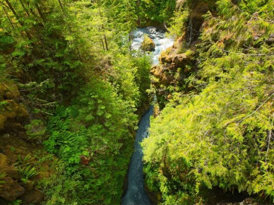 A high bridge over a narrow gorge - so cool! hoh river