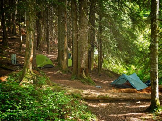 We set up camp in the trees near Elk Lake elk lake camping