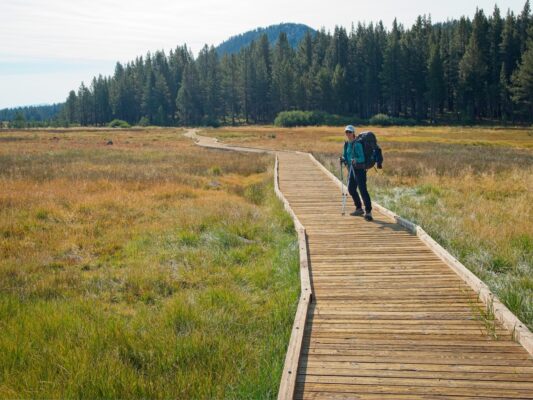 We follow a boardwalk through Tahoe Meadows tahoe rim trail