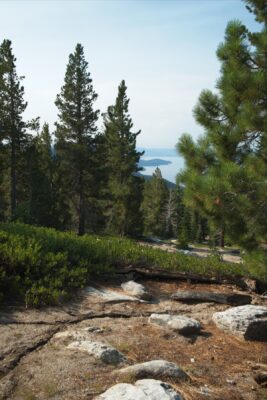 Every once in a while we get some nice views of Lake Tahoe from the trail tahoe rim trail