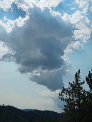 An ominous cloud forming overhead - is it going to rain? cloud