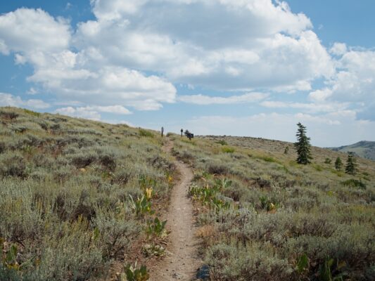 The landscape transitions to rolling hills of sage tahoe rim trail
