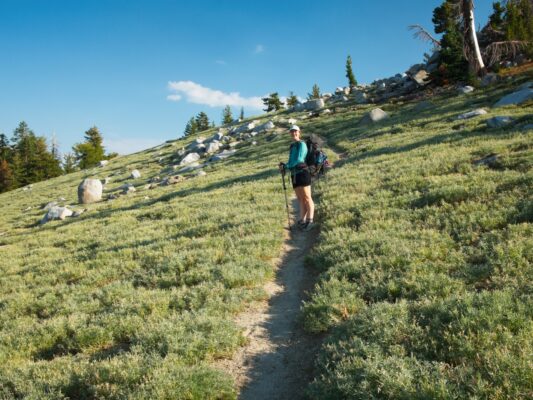 Shannon stands in a field of lupine tahoe rim trail