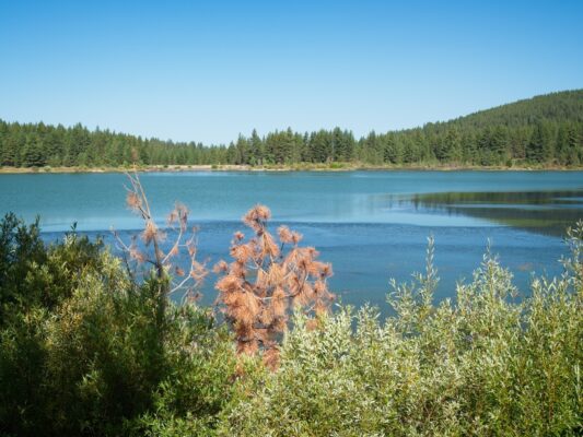 A look out at Spooner Lake spooner lake