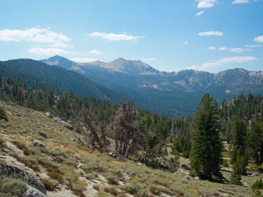 We get our first look at Freel Peak, the tall sandy mountain in the distance tahoe rim trail