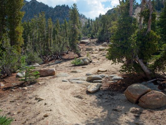 A sandy trail, frequented by mountain bikers, leads up toward Freel Peak tahoe rim trail
