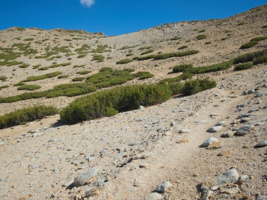 A well-worn path to the summit of Freel Peak freel peak
