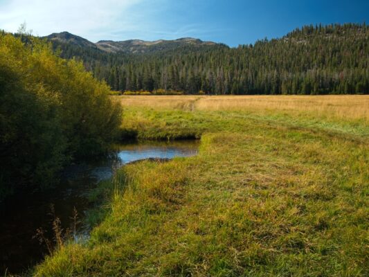 Big Meadow and Big Meadow Creek tahoe rim trail