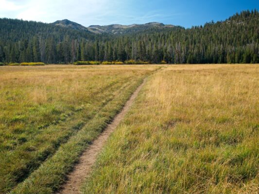 It's a very pretty meadow, ok? tahoe rim trail
