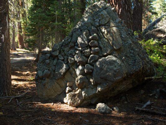 This conglomerate boulder reminds me of a dinosaur's head tahoe rim trail