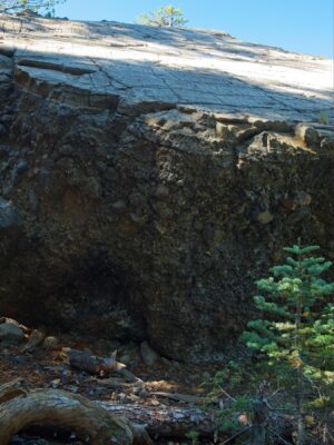 A really interesting block with smooth varnish on the top layer and rough conglomerate underneath! tahoe rim trail