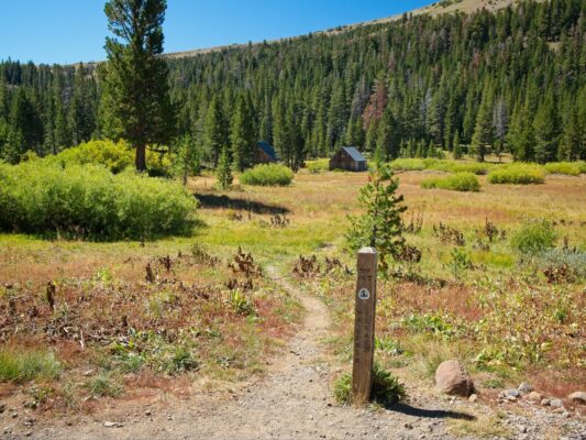 We've reached the Pacific Crest Trail! tahoe rim trail