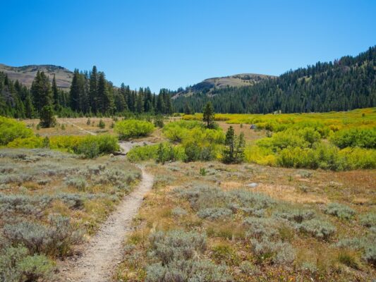 Looking south down the PCT near the Truckee River crossing tahoe rim trail