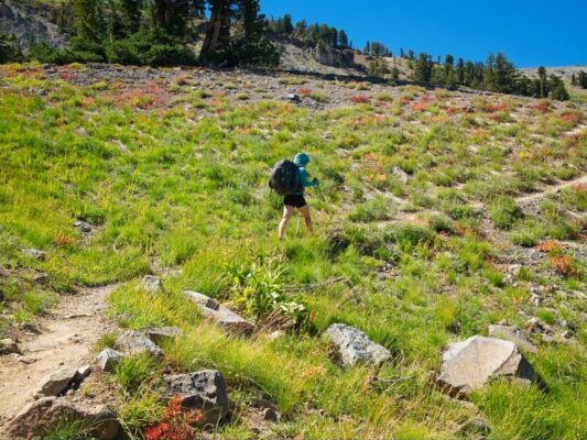Shannon hikes through colorful brush tahoe rim trail