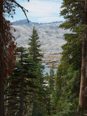 Our first look at Lake Aloha and it's many, many islands and peninsulas tahoe rim trail