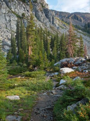 We begin the descent from Lake Aloha tahoe rim trail