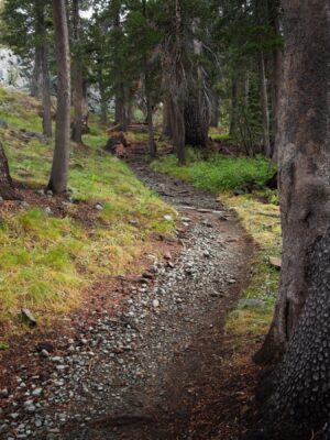 We're hiking uphill again, climbing to Gilmore Lake tahoe rim trail