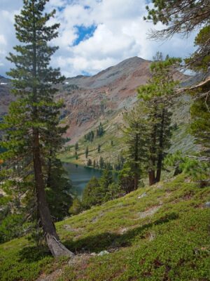 As we hike up the trail, dark clouds gather over Dicks Peak tahoe rim trail