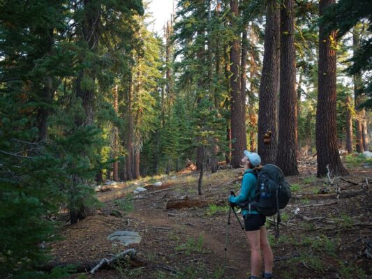 Shannon admires the trees tahoe rim trail