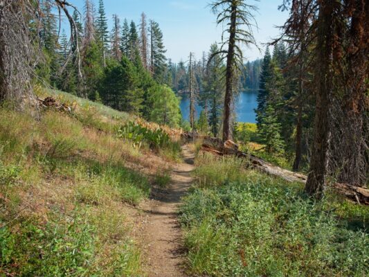 The trail descends to Richardson Lake tahoe rim trail