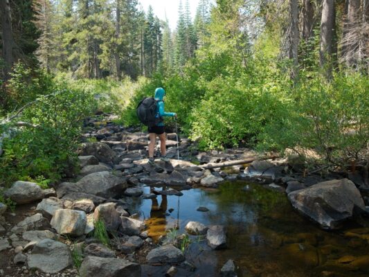 Shannon crosses Miller Creek tahoe rim trail