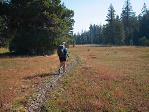 Shannon hikes through Page Meadows tahoe rim trail
