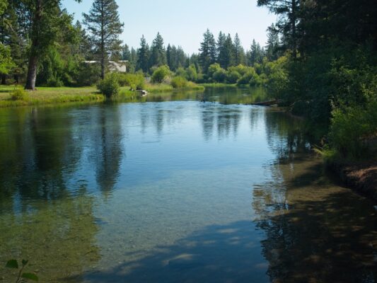We're back to the Truckee River, now flowing out of Lake Tahoe! tahoe rim trail