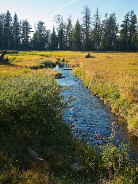 Evening light at the Grey Lake inlet tahoe rim trail