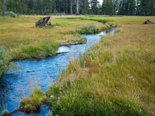 Morning at Grey Lake tahoe rim trail