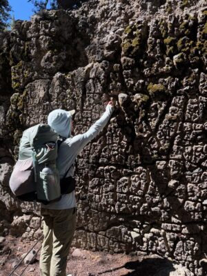 I'm intrigued by the maze of varnish on this rock! Photo credit: Shannon rocks