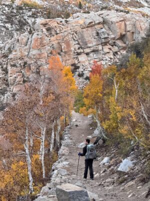 The trees' colors have changed significantly since Saturday! Photo credit: Shannon south lake autumn