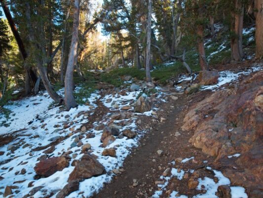 We find fairly consistent snow coverage not far up the trail bishop pass trail