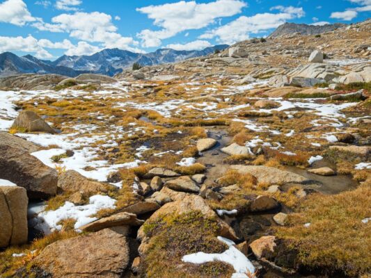 The ground is wet and squishy in the afternoon dusy basin
