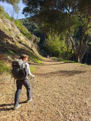 Shannon starts down the Gabrielino Trail from Chantry Flat gabrielino trail