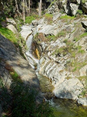 The creek is smaller higher up the canyon gabrielino trail