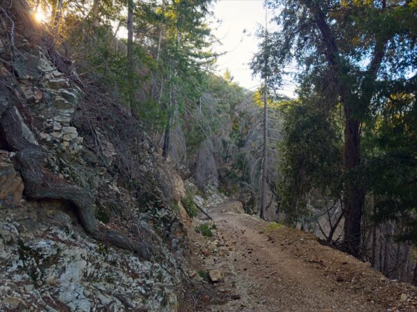We follow the Rincon-Red Box truck road for a few miles gabrielino trail